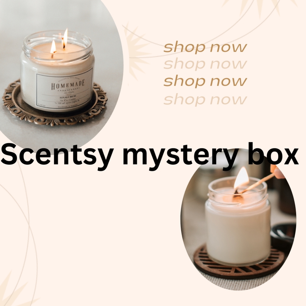 Scentsy mystery items